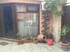Гостевой дом Meidani Guest house Тбилиси-4